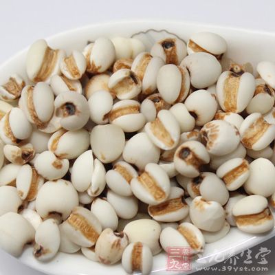 食材有熟薏仁適量