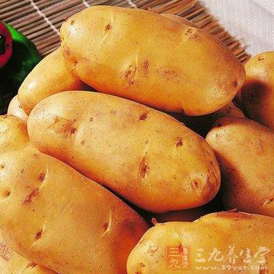 洋芋是山裡人的主糧