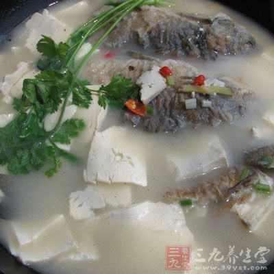 鲫魚豆腐湯怎麼做