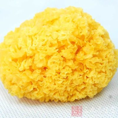 銀耳含有豐富的維生素和微量元素，可幫助鈣質吸收，促進骨質代謝