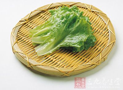 莴筍葉,原產中國、印度、日本等溫帶地區 莴筍葉,原產中國、印度、日本等溫帶地區