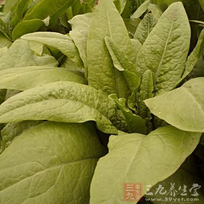 糖尿病人能吃莴筍葉子 糖尿病人能吃莴筍葉子