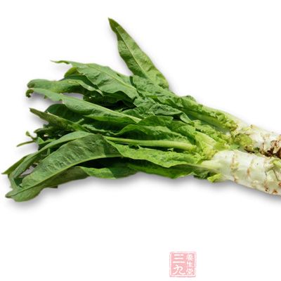 莴筍葉是可以吃的 莴筍葉是可以吃的