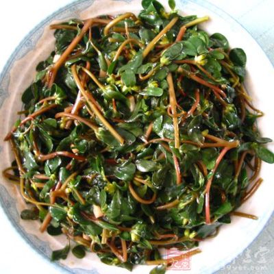 清炒車前草