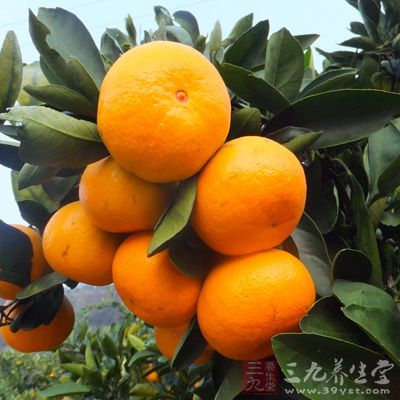 橘子是酸的，既能提神，又可以開胃