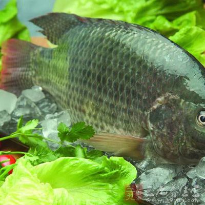 魚、禽、蛋(每日0到2次) 魚、禽、蛋(每日0到2次)