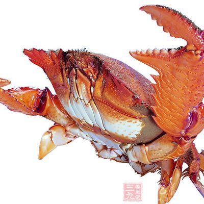 動物性食物,包括畜禽類、水產類、蛋類、乳類等 動物性食物,包括畜禽類、水產類、蛋類、乳類等