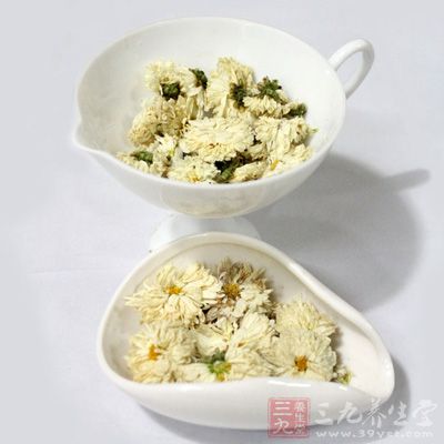 白菊花茶具有疏散風熱、平肝明目、養肝護肝、清熱解毒等功效 白菊花茶具有疏散風熱、平肝明目、養肝護肝、清熱解毒等功效