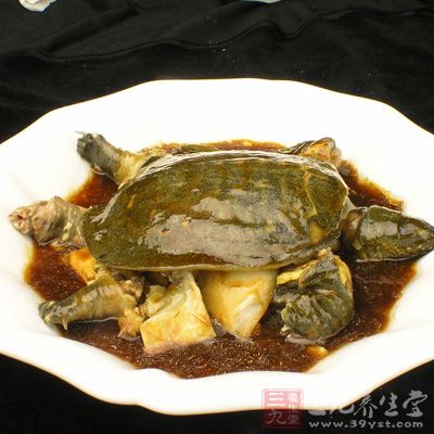 滋陰清熱軟堅散結,肝炎肝硬化患者的膳食,鱉甲可用砂炒後醋淬研磨用 滋陰清熱軟堅散結,肝炎肝硬化患者的膳食,鱉甲可用砂炒後醋淬研磨用