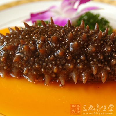性溫，味鹹，海參質地雖陰柔，但能補腎之陽氣，為腎陰腎陽雙補之品