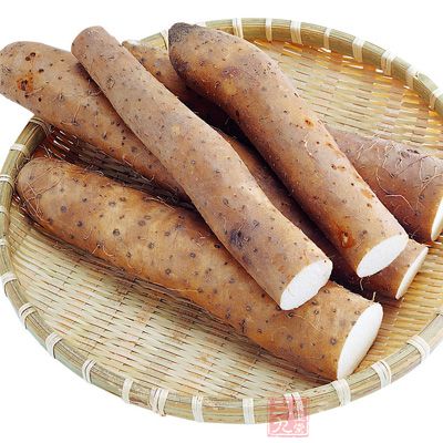 山藥性平，味甘，為中醫“上品”之藥，除了具有補肺、健脾作用外，還能益腎填精