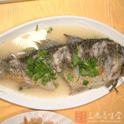 鯉魚1條,重500克左右 鯉魚1條,重500克左右