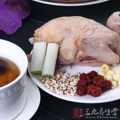 薏仁鴿子湯