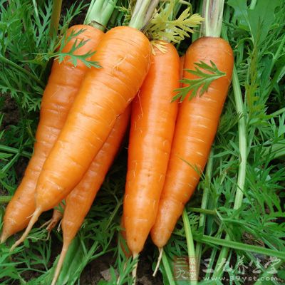 胡蘿卜性味甘平,中國醫學認為它 胡蘿卜性味甘平,中國醫學認為它