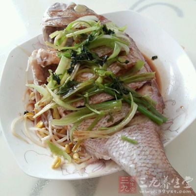 每周兩次清蒸海魚 每周兩次清蒸海魚