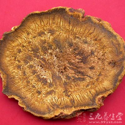大黃為蓼科多年生草本植物掌葉大黃或唐古特大黃的根狀莖