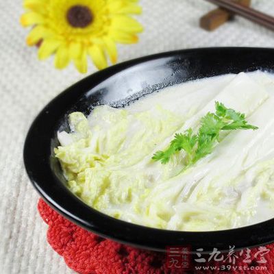 白菜奶汁湯 白菜奶汁湯