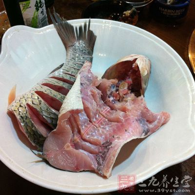 草魚棲息於平原地區的江河湖泊,一般喜居於水的中下層和近岸多水草區域 草魚棲息於平原地區的江河湖泊,一般喜居於水的中下層和近岸多水草區域
