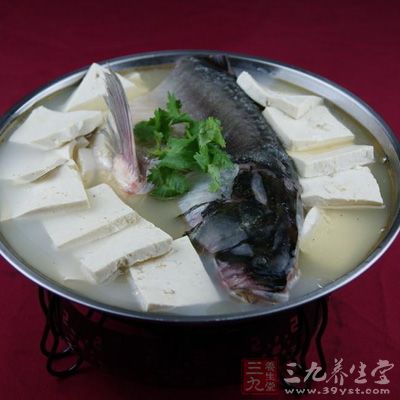 准備草魚一條和少許油 准備草魚一條和少許油