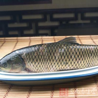 草魚剁成塊,提前腌制2-4小時 草魚剁成塊,提前腌制2-4小時