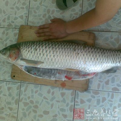 准備草魚約1500g,花椒20粒,八角2只 准備草魚約1500g,花椒20粒,八角2只