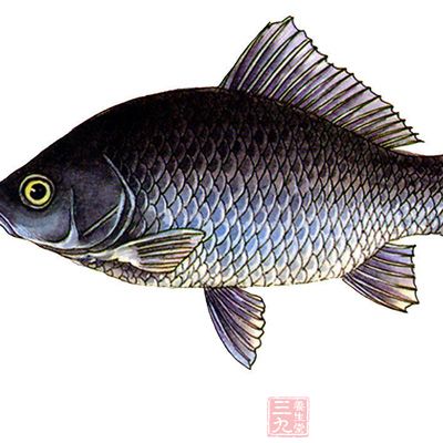 准備草魚1條,剁椒200g,韭菜50g,洋蔥50g,姜20g 准備草魚1條,剁椒200g,韭菜50g,洋蔥50g,姜20g