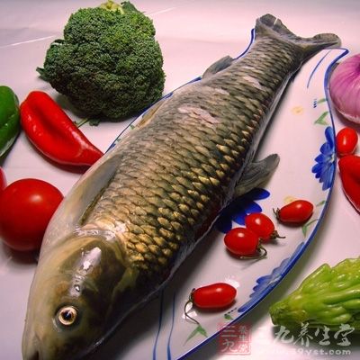 草魚性平,味甘,歸脾、腎、肺經 草魚性平,味甘,歸脾、腎、肺經