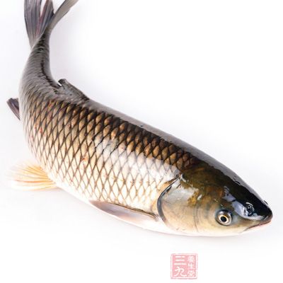 草魚豆腐湯:適合腦力工作者飲用 草魚豆腐湯:適合腦力工作者飲用