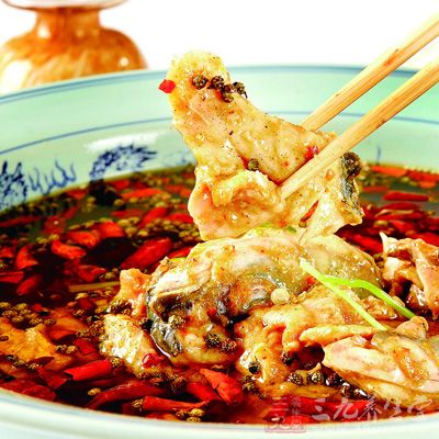 鲫魚是主要以植物為食的雜食性魚,喜群居而行 鲫魚是主要以植物為食的雜食性魚,喜群居而行