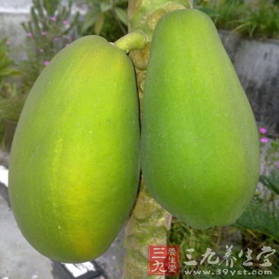 木瓜 1個(約1斤重),鮮草魚約1.2斤,干百合1兩,胡蘿卜1個,黃杏8錢,黨參1兩,姜2片 木瓜 1個(約1斤重),鮮草魚約1.2斤,干百合1兩,胡蘿卜1個,黃杏8錢,黨參1兩,姜2片