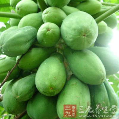 豐胸減肥妙法:青木瓜酸奶 豐胸減肥妙法:青木瓜酸奶