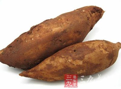 雪蓮果,學名“yacon”(亞貢,或者阿貢),即“神果”之意 雪蓮果,學名“yacon”(亞貢,或者阿貢),即“神果”之意