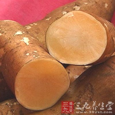 雪蓮果原產南美的安第斯山 雪蓮果原產南美的安第斯山
