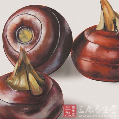 無論生吃,煮著吃,還是炒著吃都可以 無論生吃,煮著吃,還是炒著吃都可以