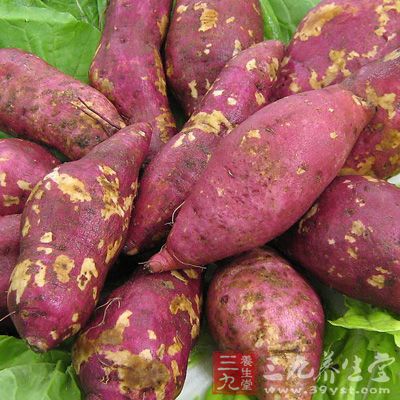 地瓜、甘薯、白薯,有人將它稱為“第一抗癌食品” 地瓜、甘薯、白薯,有人將它稱為“第一抗癌食品”