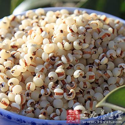 小薏仁15克、米30克、當歸1/4錢 小薏仁15克、米30克、當歸1/4錢