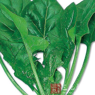 撈出菠菜浸入冷水過涼