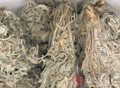 至夏其苗則變為蒿，故亦稱茵陳蒿