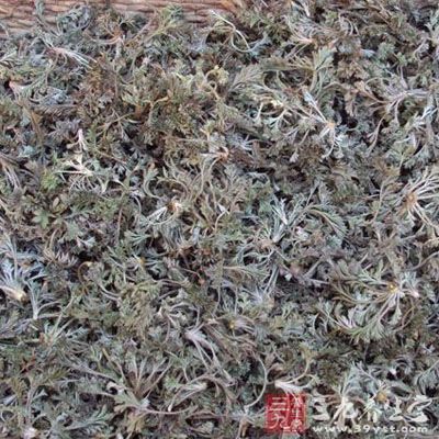 茵陳15～30g、大棗30～50g