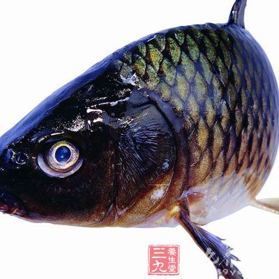 鲫魚1-2條，糯米30-45克