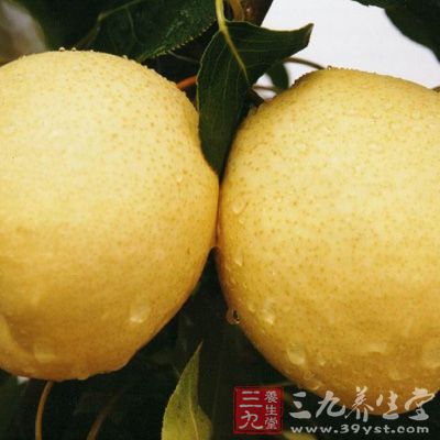 雪梨味甘性寒，含蘋果酸、檸檬酸、維生素B1、B2、C、胡蘿卜素等