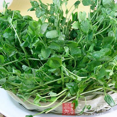 豆苗、金針菇洗淨,口蘑洗淨切片,姜去皮切片 豆苗、金針菇洗淨,口蘑洗淨切片,姜去皮切片