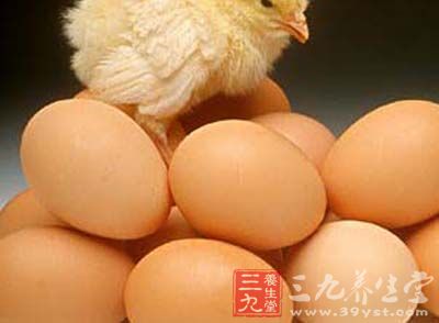 雞蛋含有豐富的蛋白質、脂肪、維生素和鐵 雞蛋含有豐富的蛋白質、脂肪、維生素和鐵