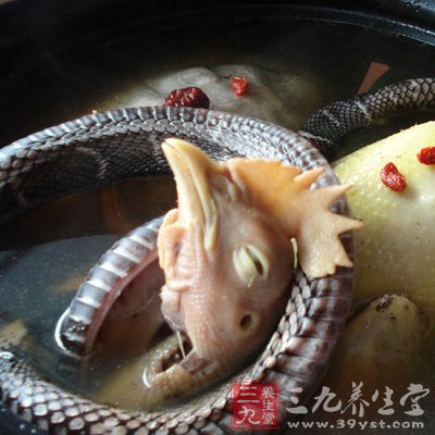 龍鳳湯營養豐富