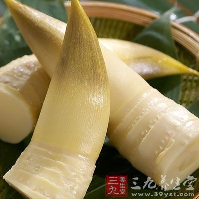 立春後踩挖的筍，以其筍體肥大