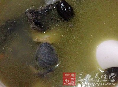 補腎養血湯劑早晚分服