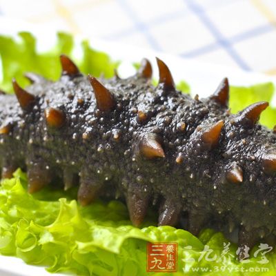 海參含鈣量豐富