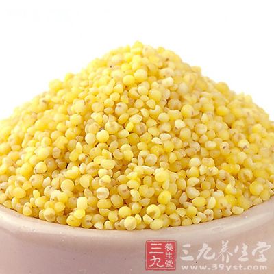 女性多喝小米粥還有補血養血的功效