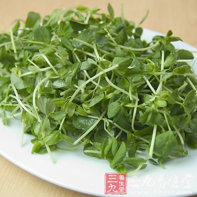 吃豆苗菜時需要較強的咀嚼，是最佳的瘦臉食物