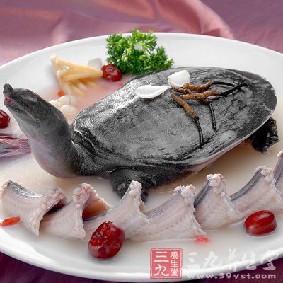 蟲草木耳炖烏龜